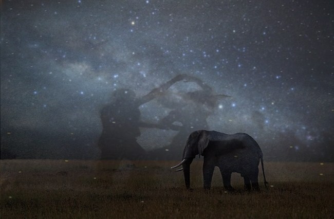 cuando los elefantes sueñen con salsa - relatossalseros.wordpress.com